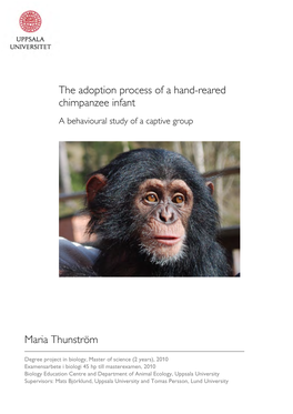 The Adoption Process of a Hand-Reared Chimpanzee Infant a a Behavioural Study of a Captive Group