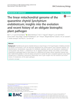 The Linear Mitochondrial Genome of the Quarantine Chytrid Synchytrium