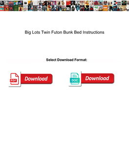 Big Lots Twin Futon Bunk Bed Instructions