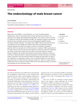 The Endocrinology of Male Breast Cancer