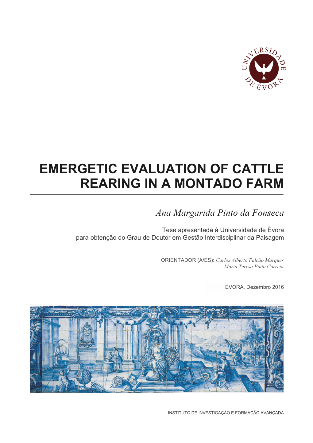 Emergetic Evaluation of Cattle Rearing in a Montado Farm