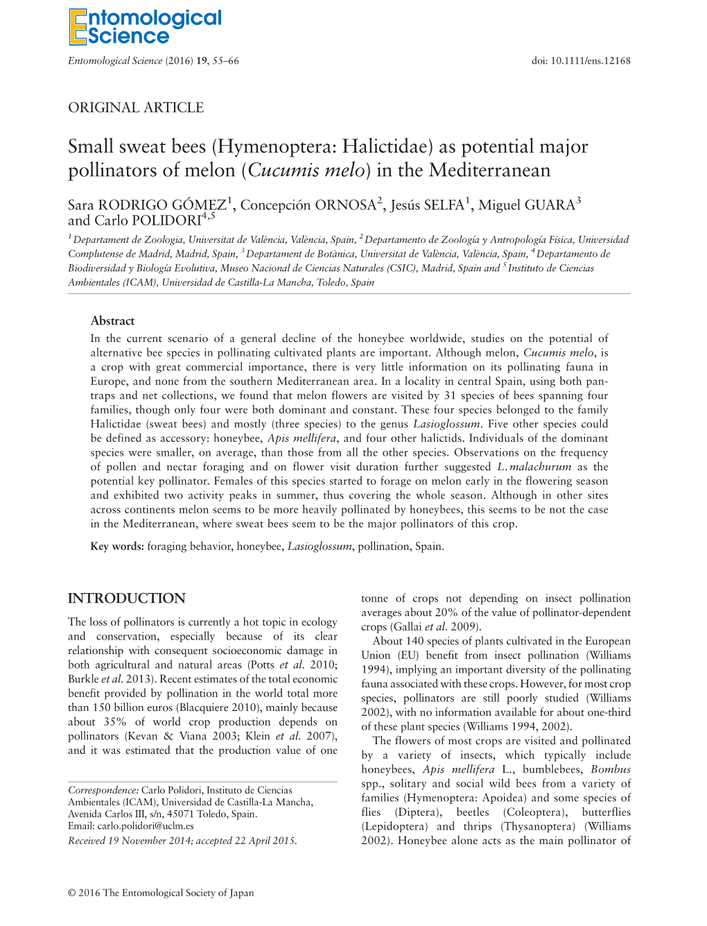 Small Sweat Bees (Hymenoptera: Halictidae) As Potential Major Pollinators of Melon (Cucumis Melo) in the Mediterranean