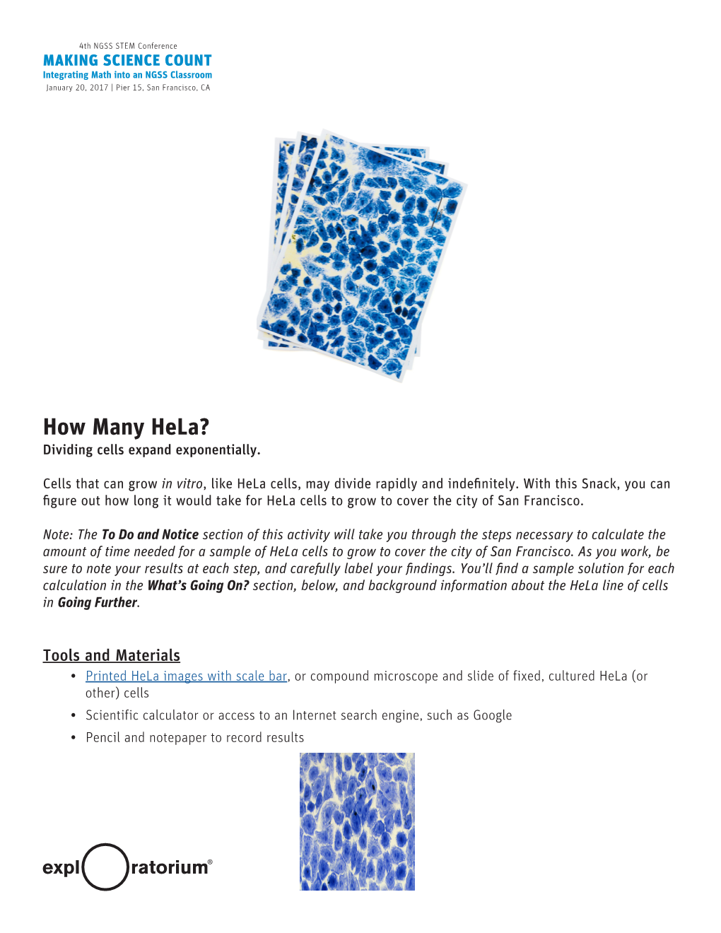 How Many Hela? Dividing Cells Expand Exponentially