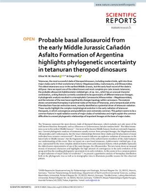 RAUHUT, O.W.M., POL, D. 2019. Probable Basal Allosauroid from The