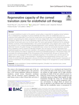 Regenerative Capacity of the Corneal Transition Zone for Endothelial Cell Therapy