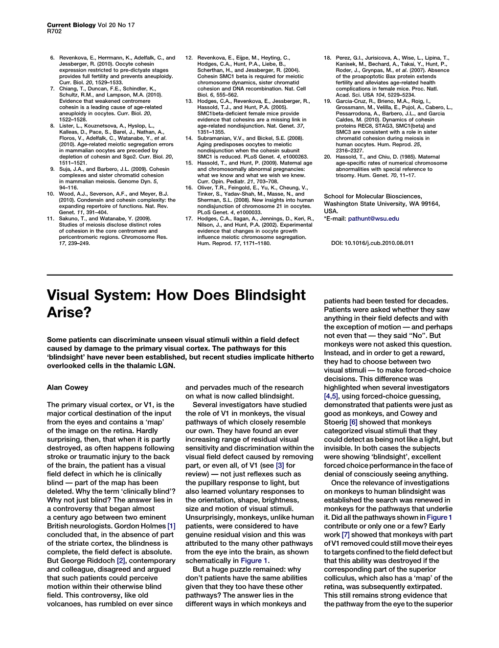 Visual System: How Does Blindsight Arise?