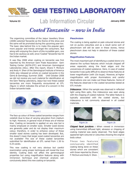 Lab Information Circular Coated Tanzanite