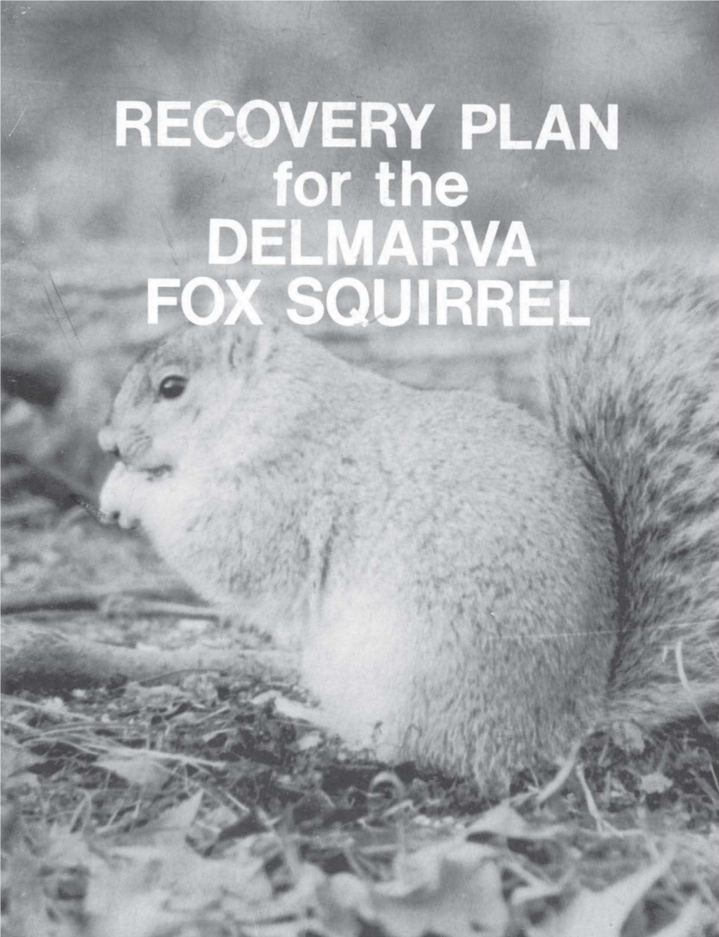 HISTORICAL and PRESENT RANGE of the DELMARVA FOX SQUIRREL