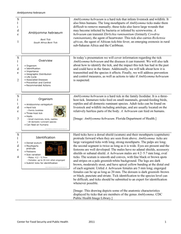 S L I D E 1 Amblyomma Hebraeum Is a Hard Tick That Infests Livestock And