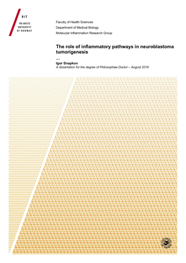 The Role of Inflammatory Pathways in Neuroblastoma Tumorigenesis — Igor Snapkov a Dissertation for the Degree of Philosophiae Doctor – August 2016 Contents