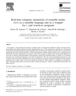 Real-Time Computer Simulations of Excitable Media: JAVA As a Scientiﬁc Language and As a Wrapper for C and FORTRAN Programs