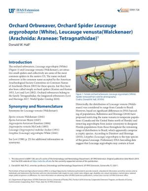 Orchard Orbweaver, Orchard Spider Leucauge Argyrobapta (White), Leucauge Venusta(Walckenaer) (Arachnida: Araneae: Tetragnathidae)1 Donald W