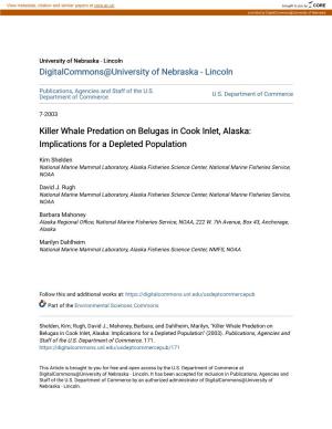 Killer Whale Predation on Belugas in Cook Inlet, Alaska: Implications for a Depleted Population