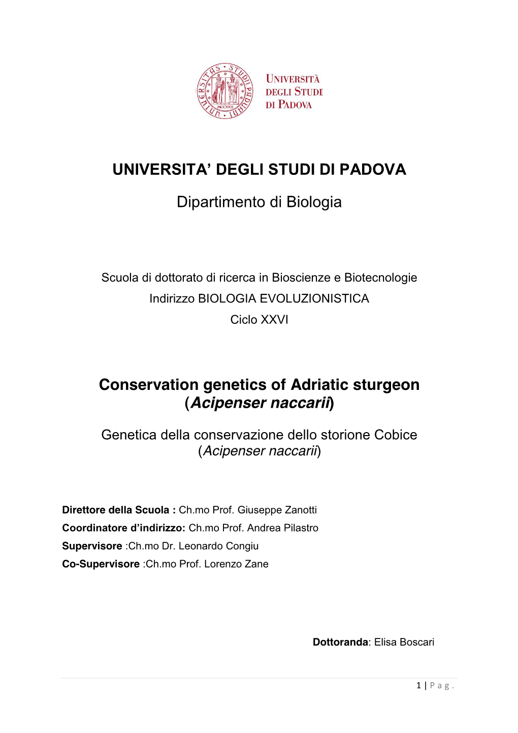 Conservation Genetics of Adriatic Sturgeon (Acipenser Naccarii)