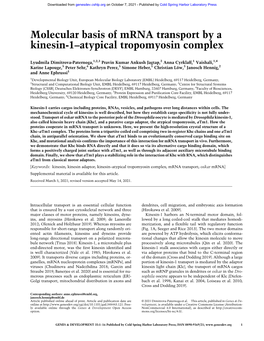 Molecular Basis of Mrna Transport by a Kinesin-1–Atypical Tropomyosin Complex