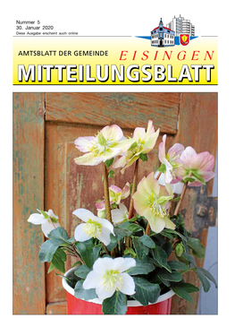 Amts-Und Mitteilungsblatt Ausgabe 05 Vom 30