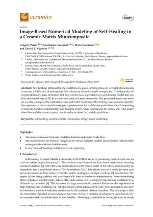 Image-Based Numerical Modeling of Self-Healing in a Ceramic-Matrix Minicomposite