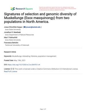 Signatures of Selection and Genomic Diversity of Muskellunge (Esox Masquinongy) from Two Populations in North America