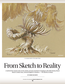 From Sketch to Reality, by Connie Sue White