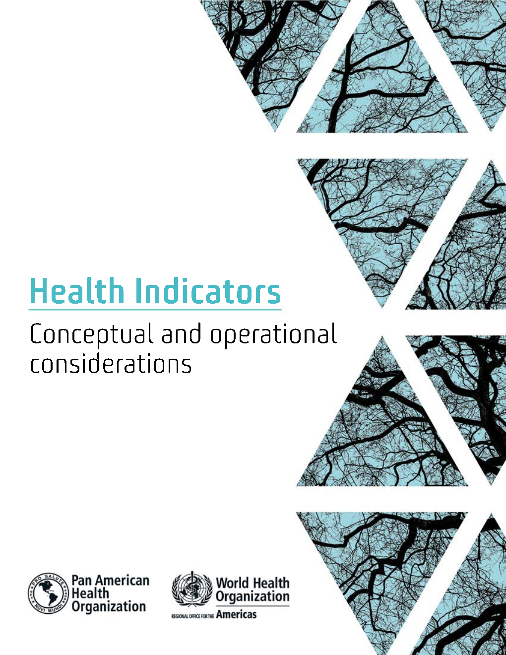 Health Indicators Conceptual and Operational Considerations Health Indicators Conceptual and Operational Considerations