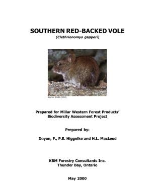 TOC Southern Red-Backed Vole