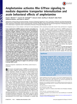 Amphetamine Activates Rho Gtpase Signaling to Mediate Dopamine Transporter Internalization and Acute Behavioral Effects of Amphetamine