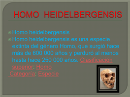 Homo Heidelbergensis  Homo Heidelbergensis Es Una Especie Extinta Del Género Homo, Que Surgió Hace Más De 600 000 Años Y Perduró Al Menos Hasta Hace 250 000 Años