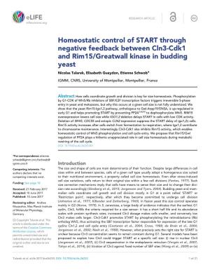 Homeostatic Control of START Through Negative Feedback Between Cln3-Cdk1 and Rim15/Greatwall Kinase in Budding Yeast