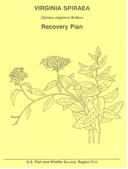 Virginia Spiraea Recovery Plan