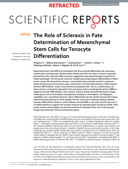 The Role of Scleraxis in Fate Determination of Mesenchymal