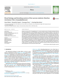 Floral Biology and Breeding System of the Narrow Endemic Dianthus Morisianus Vals