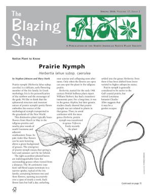 Prairie Nymph Herbertia Lahue Subsp