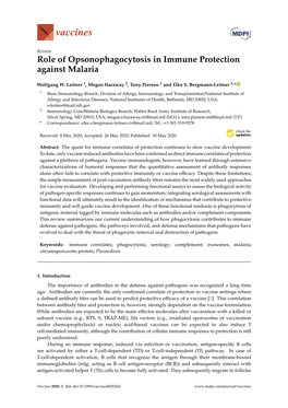 Role of Opsonophagocytosis in Immune Protection Against Malaria