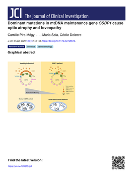 Dominant Mutations in Mtdna Maintenance Gene SSBP1 Cause Optic Atrophy and Foveopathy