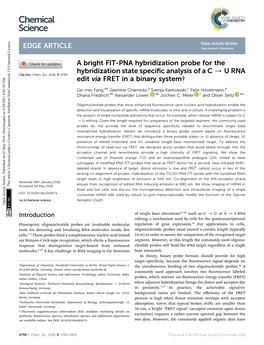A Bright FIT-PNA Hybridization Probe for the Hybridization State Specific