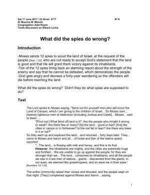 What Did the Spies Do Wrong? (Shlach Lecha)