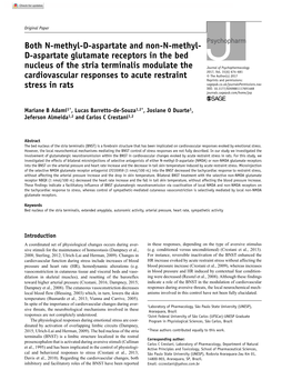 Both N-Methyl-D-Aspartate and Non-N-Methyl- D-Aspartate Glutamate Receptors in the Bed