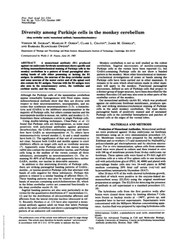 Diversity Among Purkinje Cells in the Monkey Cerebellum (Deep Cerebellar Nucle!/Monoclonal Antibody/Immunohstochemlstry) VERNON M