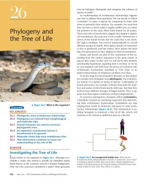 Phylogeny and the Tree of Life 537 That Pines and ﬁrs Are Different Enough to Be Placed in Sepa- History