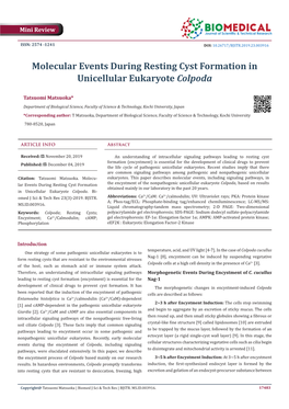 Molecular Events During Resting Cyst Formation in Unicellular Eukaryote Colpoda