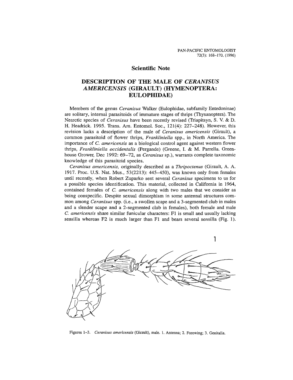 Description of the Male Ceranisus Americensis (Girault) (Hymenoptera: Eulophidae)