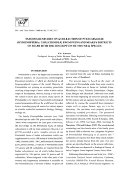 Taxonomic Studies on a Collection of Pteromalidae (Hymenoptera: Chalcidoidea) from Patnaand Nearby Districts of Bihar with the Description of Two New Species