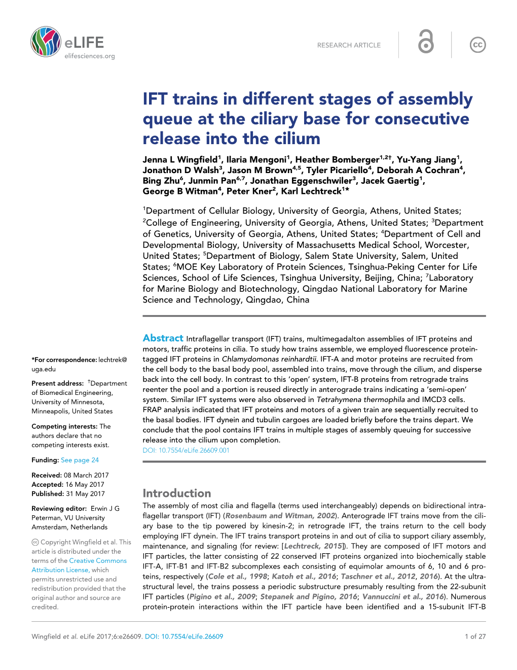 IFT Trains in Different Stages of Assembly Queue at the Ciliary Base