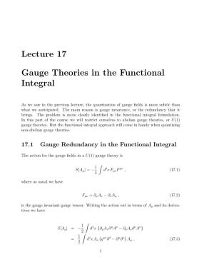 Lecture 17 Gauge Theories in the Functional Integral