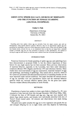 Fink, L . S . 1987 . Green Lynx Spider Egg Sacs