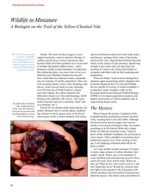 A Biologist on the Trail of the Yellow-Cheeked Vole