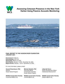 Assessing Cetacean Presence in the New York Harbor Using Passive Acoustic Monitoring