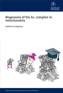 Biogenesis of the Bc1 Complex in Mitochondria