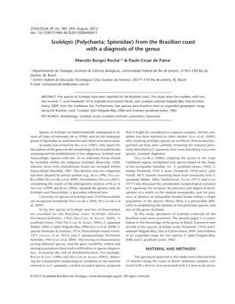 Scolelepis (Polychaeta: Spionidae) from the Brazilian Coast with a Diagnosis of the Genus