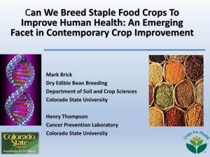 Can We Breed Staple Food Crops to Improve Human Health: an Emerging Facet in Contemporary Crop Improvement